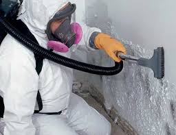 Trusted Sebastian, TX Mold Remediation Experts